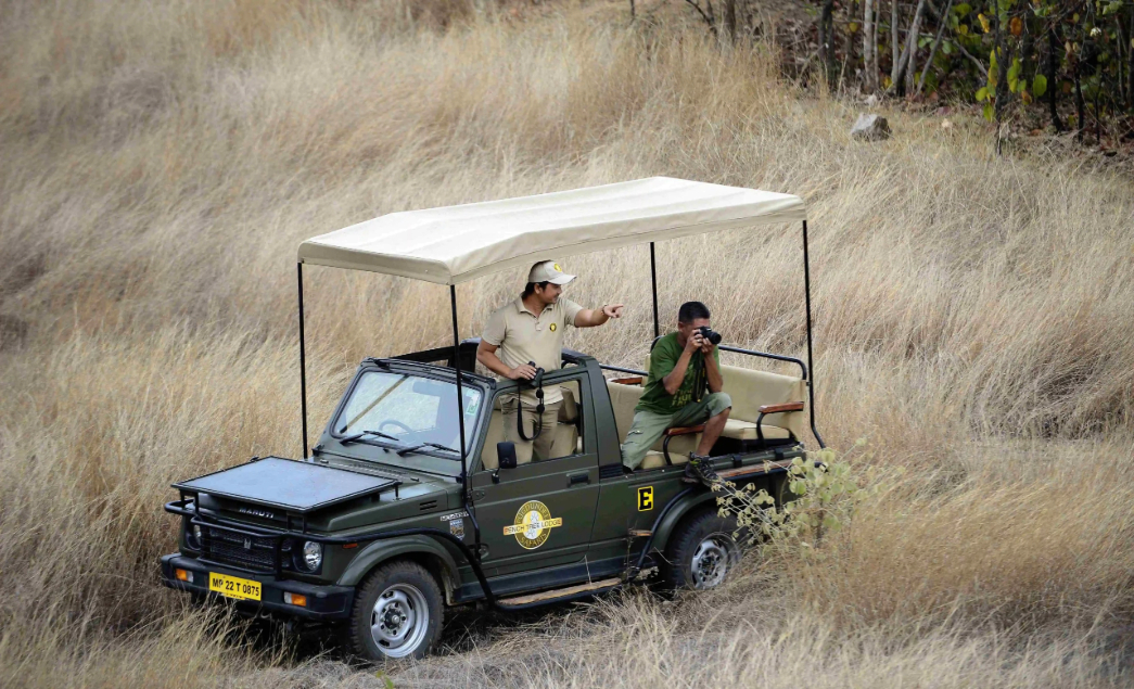 Wildlife Photography Tips for Beginners in India