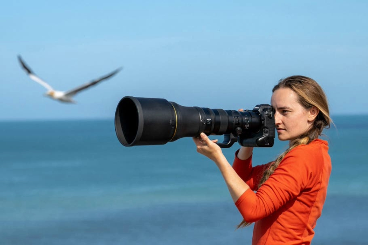 Best Camera for Wildlife Photography in India: Complete Gear Buying Guide